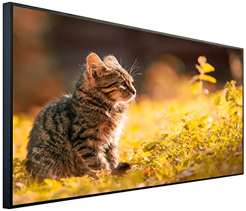 Ecowelle Infrarotheizung mit Bild | 1200 Watt | 60x120 cm | Infrarot Heizung| | Made in Germany| b 91 Katze mit Blumen von Ecowelle