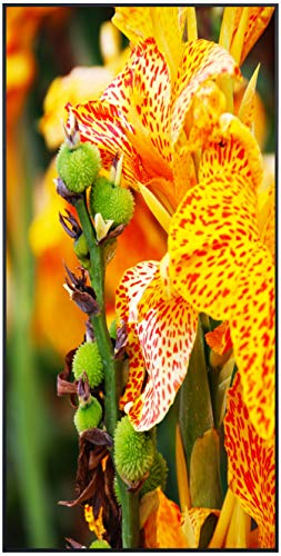 Ecowelle Infrarotheizung mit Bild | 750 Watt | 60x120 cm | Infrarot Heizung| | Made in Germany| a 80 Canna Lilie Blume von Ecowelle
