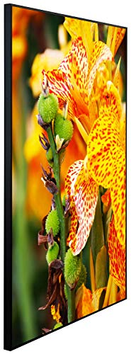 Ecowelle Infrarotheizung mit Bild | 900 Watt | 60x120 cm | Infrarot Heizung| | Made in Germany| a 80 Canna Lilie Blume von Ecowelle