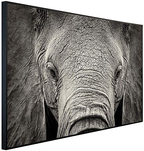 Ecowelle Infrarotheizung mit Bild | 900 Watt | 60x120 cm | Infrarot Heizung| | Made in Germany| b 65 Elefant von Ecowelle