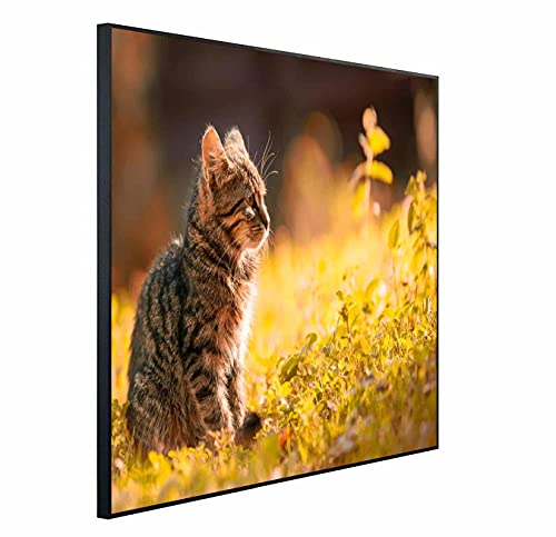 Ecowelle Infrarotheizung mit Bild | 900 Watt | 60x120 cm | Infrarot Heizung| | Made in Germany| b 91 Katze mit Blumen von Ecowelle