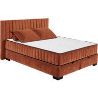 ED EXCITING DESIGN Boxbett "Nagol" mit Bettkasten, mit Wendematratze, erhältlich in verschiedenen Breiten von Ed Exciting Design