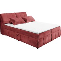 ED EXCITING DESIGN Boxbett "Valencia", inkl. Bettkasten und Stauraum im Kopfteil ED EXCITING DESIGN Boxbett "Valencia", inkl. Bettkasten und Stauraum im Kopfteil von Ed Exciting Design