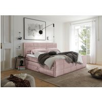 ED EXCITING DESIGN Boxspringbett "Bolivia", harte Seite mit Kokosmatte, weiche Seite mit Filzabdeckung von Ed Exciting Design