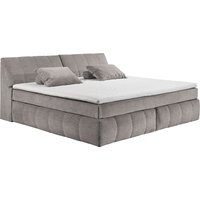 ED EXCITING DESIGN Boxspringbett "Elkford, Familienbett in der Größe 240x200cm" ED EXCITING DESIGN Boxspringbett "Elkford, Familienbett in der Größe 240x200cm" von Ed Exciting Design