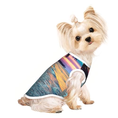 Hunde-Shirts für kleine Hunde, Motiv: Kokosnuss, Strand, Sonnenuntergang, Hängematte, dehnbar, leicht, Tanktop, ärmellos, gestreift Hunde-Shirts für kleine Hunde, Motiv: Kokosnuss, Strand, Sonnenuntergang, Hängematte, dehnbar, leicht, Tanktop, ärmellos, gestreift von EdWal