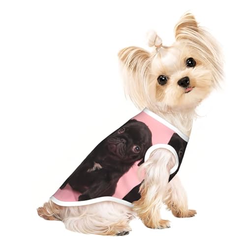 Hunde-Shirts für kleine Hunde, dehnbar, leicht, Tanktop, ärmellos, gestreift, Schwarz Hunde-Shirts für kleine Hunde, dehnbar, leicht, Tanktop, ärmellos, gestreift, Schwarz von EdWal