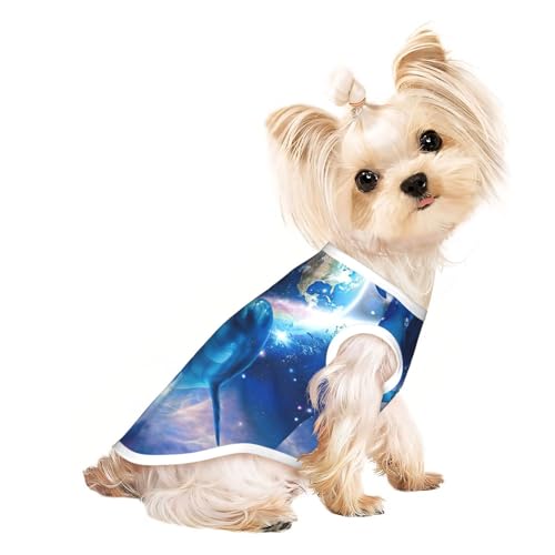Hunde-Shirts für kleine Hunde, dehnbar, leicht, Tanktop, ärmellos, gestreift Hunde-Shirts für kleine Hunde, dehnbar, leicht, Tanktop, ärmellos, gestreift von EdWal