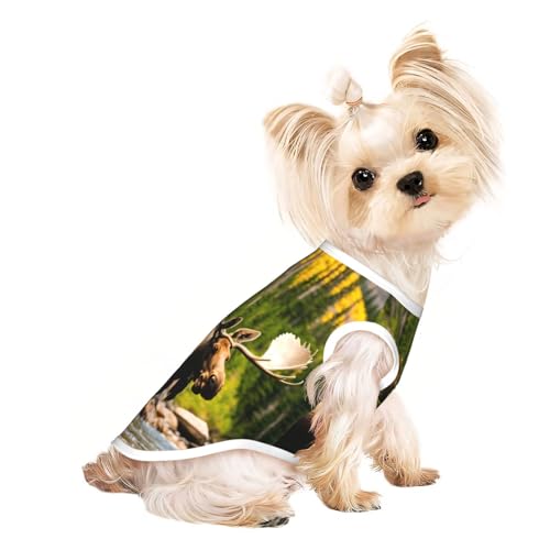 Hunde-Shirts für kleine Hunde, dehnbar, leicht, Tanktop, ärmellos, gestreift Hunde-Shirts für kleine Hunde, dehnbar, leicht, Tanktop, ärmellos, gestreift von EdWal