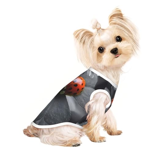 Marienkäfer-Hunde-Shirts für kleine Hunde, dehnbar, leicht, Tanktop, ärmellos, gestreift Marienkäfer-Hunde-Shirts für kleine Hunde, dehnbar, leicht, Tanktop, ärmellos, gestreift von EdWal