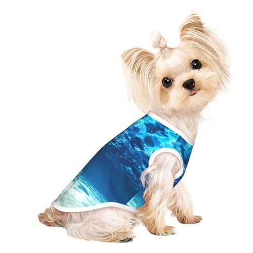 Unterwasser-Hunde-Shirts für kleine Hunde, dehnbar, leicht, Tanktop, ärmellos, gestreift Unterwasser-Hunde-Shirts für kleine Hunde, dehnbar, leicht, Tanktop, ärmellos, gestreift von EdWal