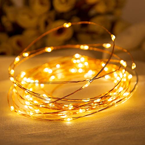 Edaygo Easter Fairy Lights, LED Lichterkette Innen-Beleuchtung Draht Draht-Lichterkette Zimmer Deko Batteriebetrieben, Warmweiß, 100 LEDs von Edaygo