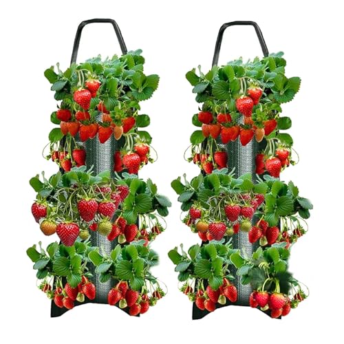 2 PCS Hängende Pflanzsäcke mit 8 Taschen, Pflanzbeutel mit Griffen für Erdbeeren, Kräuter & Gemüse, Robuste Pflanztaschen zum Aufhängen für Balkon & Garten, Wiederverwendbar, Schwarz von Eddrfy