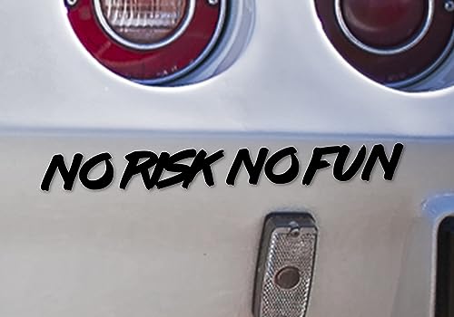 Auto Aufkleber | No Risk No Fun | Spruch Tuning Heckscheibenaufkleber Autofahrer Sport Daily Dekor Tattoo Autoaufkleber KFZ Tuningzubehör Außen (schwarz glanz) von Edelfolien