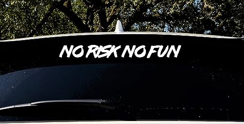 Auto Aufkleber | No Risk No Fun | Spruch Tuning Heckscheibenaufkleber Autofahrer Sport Daily Dekor Tattoo Autoaufkleber KFZ Tuningzubehör Außen (weiß glanz) von Edelfolien