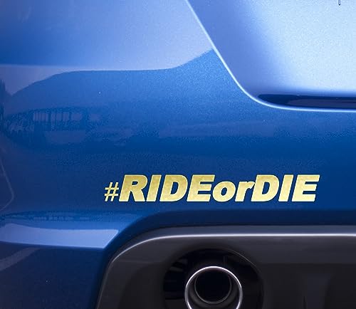 Ride or Die Aufkleber | Autoaufkleber Tuning Fahranfänger Menschen Fahrzeugzubehör Gadget Heckscheibe Führerschein Tuningcar Zubehör (gold matt) von Edelfolien