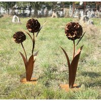 Edelrost 3D Pusteblume Mit 1 Blüte Oder 2 Blüten 90cm Nach Wahl Gartendeko Wetterfest Rost Metall Gartenfigur Deko-Blume Blume Edelrost 3D Pusteblume Mit 1 Blüte Oder 2 Blüten 90cm Nach Wahl Gartendeko Wetterfest Rost Metall Gartenfigur Deko-Blume Blume von Edelrostwelt