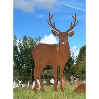 Edelrost Hirsch Nach Vorne Blickend 117x66cm Zum Stecken Gartenstecker Rost Metall Rostfigur Gartenfigur Kitz Reh Rostige Gartendeko von Edelrostwelt