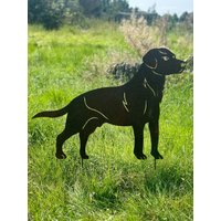 Edelrost Hund Labrador 85x61cm Zum Stecken Gartenstecker Rost Metall Rostfigur Wetterfest Gartenfigur Rostige Gartendko Edelrost Hund Labrador 85x61cm Zum Stecken Gartenstecker Rost Metall Rostfigur Wetterfest Gartenfigur Rostige Gartendko von Edelrostwelt