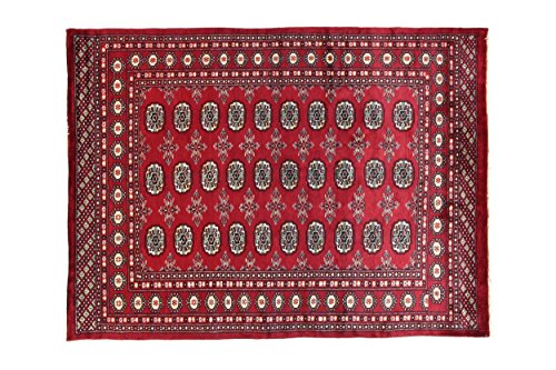 Eden Kunststoff Kashmirian Teppich Hand geknotet, Baumwolle, Mehrfarbig, 137 x 187 cm von Eden Carpets