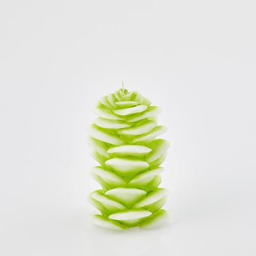 EDG Enzo De Gasperi Enzo De Gasperi Kerze Ginger H 16 cm D 10 cm Hellgrün EDG Enzo De Gasperi Enzo De Gasperi Kerze Ginger H 16 cm D 10 cm Hellgrün von Edg