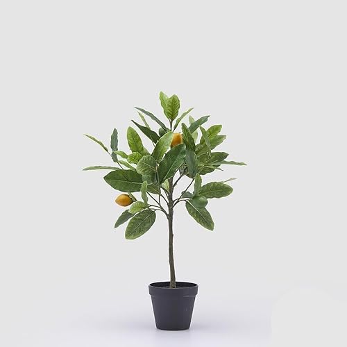 EDG Enzo De Gasperi Enzo De Gasperi Künstliche Zitronenpflanze mit Topf H 56 cm Green Mix von Edg