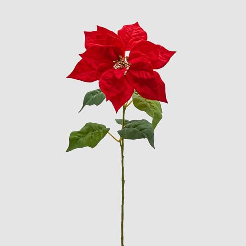 EDG Enzo De Gasperi Weihnachtsstern Zweig mit Blättern 70x25 cm Rot EDG Enzo De Gasperi Weihnachtsstern Zweig mit Blättern 70x25 cm Rot von Edg