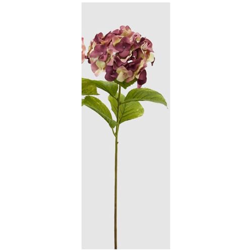 Edg - Enzo De Gasperi ROSA MALVA Edg - Enzo De Gasperi ROSA MALVA von Edg