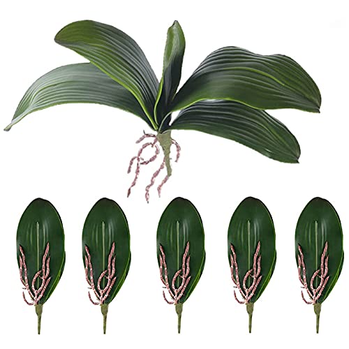 Edgar Phalaenopsis Orchideen BläTter KüNstliche Aussehende Wurzeln Latex Pflanzen GrüN Faux Blatt Anordnung,6 StüCk von Edgar
