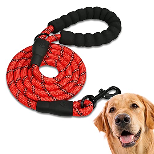 Edipets, Hundeleine, Starke Hundeleine mit Gepolstertem Griff für Haustiere, für Welpen, Kleiner, Mitteler und Großer Hund, 120 cm, 150 cm, 220 cm (120 cm, Rot) von Edipets