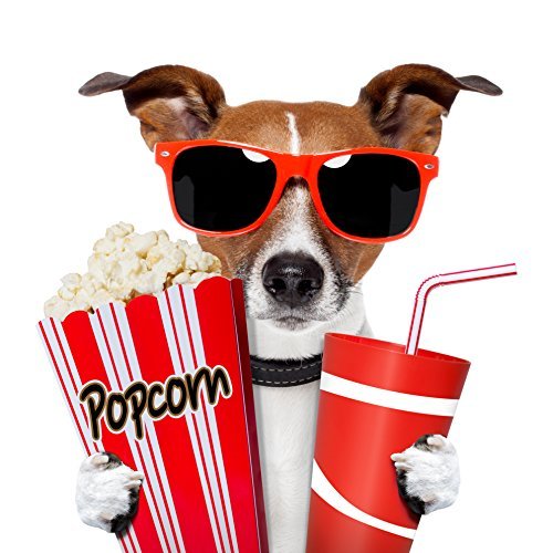 6 lustige Einladungskarten ins Kino mit Umschlägen ; Einladungen zum Kindergeburtstag mit witzigem Hund mit 3-D-Brille und Popcorn Chico geht ins Kino von Edition Colibri von Edition Colibri