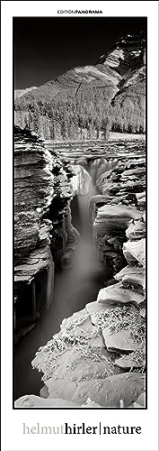 Nature: Immerwährender Vertikal-Kalender, 40 x 110 cm von Edition Panorama