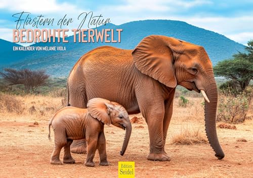 Edition Seidel Premium Kalender Bedrohte Tierwelten 2026 Format DIN A3 Wandkalender Natur Tiere Wildtiere Adler Pinguin Bison Schneeleopard Melanie Viola Edition Seidel Premium Kalender Bedrohte Tierwelten 2026 Format DIN A3 Wandkalender Natur Tiere Wildtiere Adler Pinguin Bison Schneeleopard Melanie Viola von Edition Seidel