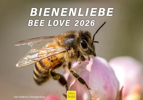 Edition Seidel Premium Kalender Bienenliebe Bee Love 2026 Format DIN A3 Wandkalender Bienenkalender Biene Hummel Blüten Blumen Andrea Dreegmeyer von Edition Seidel