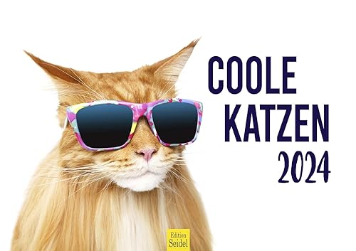 Edition Seidel Premium Kalender Coole Katzen 2024 Format DIN A4 Wandkalender Katzenkalender Tiere mit Sprüchen Katze lustige Sprüche Motivation von Edition Seidel