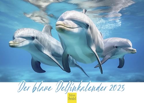 Edition Seidel Premium Kalender Der blaue Delfinkalender 2025 Format DIN A4 Wandkalender Tierkalender Delfin Delfine Säugetiere Meer Ozean von Edition Seidel