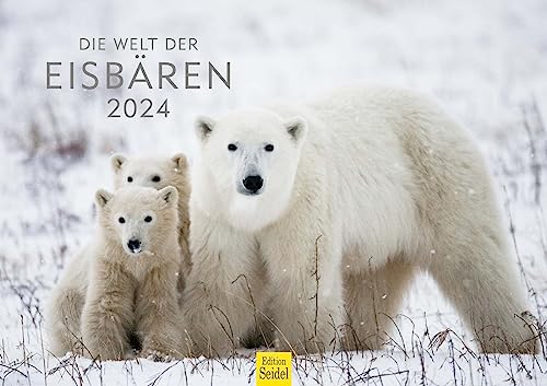 Edition Seidel Premium Kalender Die Welt der Eisbären 2024 Format DIN A3 Wandkalender Tierkalender Nordpol Grönland Eis Bär Polarbär Raubtier von Edition Seidel