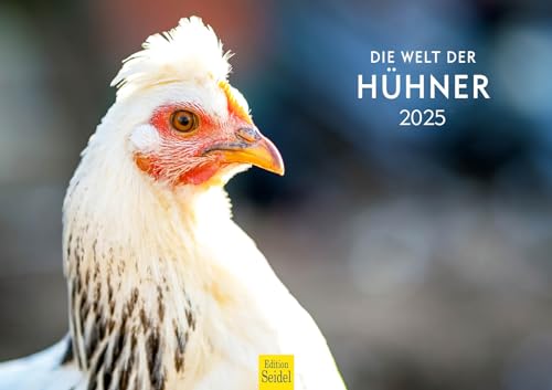 Edition Seidel Premium Kalender Die Welt der Hühner 2025 Format DIN A3 Wandkalender Tierkalender Hühnerkalender Haustiere Huhn Hahn Kücken Vögel von Edition Seidel