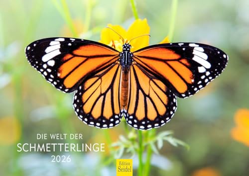 Edition Seidel Premium Kalender Die Welt der Schmetterlinge 2026 Format DIN A4 Wandkalender Tierkalender Schmetterling Falter Schwärmer Insekten Edition Seidel Premium Kalender Die Welt der Schmetterlinge 2026 Format DIN A4 Wandkalender Tierkalender Schmetterling Falter Schwärmer Insekten von Edition Seidel