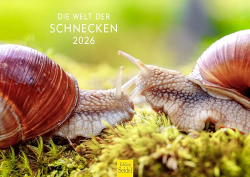 Edition Seidel Premium Kalender Die Welt der Schnecken 2026 Format DIN A4 Wandkalender Tierkalender Schnecke Kriechtiere Natur Edition Seidel Premium Kalender Die Welt der Schnecken 2026 Format DIN A4 Wandkalender Tierkalender Schnecke Kriechtiere Natur von Edition Seidel