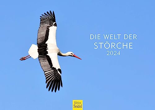 Edition Seidel Premium Kalender Die Welt der Störche 2024 Format DIN A3 Wandkalender Vogelkalender Weißstorch Küken Vögel Wildvögel Wildtiere von Edition Seidel