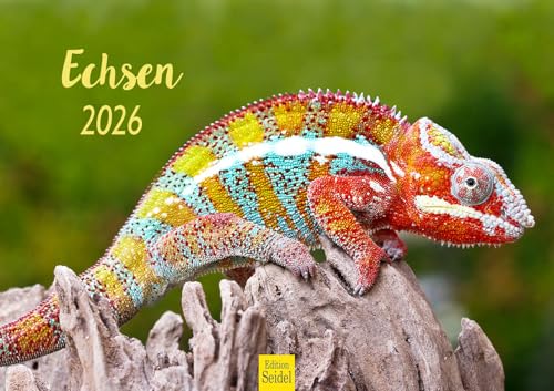 Edition Seidel Premium Kalender Echsen 2026 Format DIN A3 Wandkalender Tierkalender Echse Schuppenkriechtier Wildtiere Riesenechse Waran Farbwechsler Natur Wald Baum Wasser von Edition Seidel