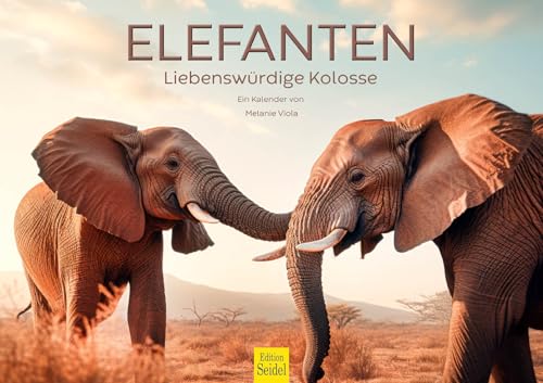 Edition Seidel Premium Kalender Elefanten 2026 Format DIN A3 Wandkalender Tierkalender Natur Steppe Wasser Elefant Kuh Bulle Kalb Herde Wildtiere Melanie Viola Edition Seidel Premium Kalender Elefanten 2026 Format DIN A3 Wandkalender Tierkalender Natur Steppe Wasser Elefant Kuh Bulle Kalb Herde Wildtiere Melanie Viola von Edition Seidel