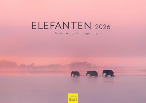 Edition Seidel Premium Kalender Elefanten 2026 Format DIN A3 Wandkalender Tierkalender Tiere Elefant Wildtier Natur Mario Weigt Edition Seidel Premium Kalender Elefanten 2026 Format DIN A3 Wandkalender Tierkalender Tiere Elefant Wildtier Natur Mario Weigt von Edition Seidel