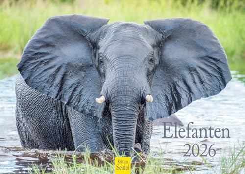 Edition Seidel Premium Kalender Elefanten 2026 Format DIN A4 Wandkalender Tierkalender Natur Steppe Wasser Elefant Kuh Bulle Kalb Herde Wildtier Edition Seidel Premium Kalender Elefanten 2026 Format DIN A4 Wandkalender Tierkalender Natur Steppe Wasser Elefant Kuh Bulle Kalb Herde Wildtier von Edition Seidel