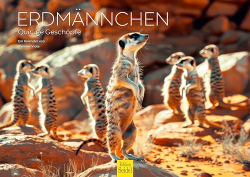 Edition Seidel Premium Kalender Erdmännchen 2026 Format DIN A4 Wandkalender Tierkalender Afrika Zoo Natur Rudel Säugetier Wildtier Tier Melanie Viola Edition Seidel Premium Kalender Erdmännchen 2026 Format DIN A4 Wandkalender Tierkalender Afrika Zoo Natur Rudel Säugetier Wildtier Tier Melanie Viola von Edition Seidel