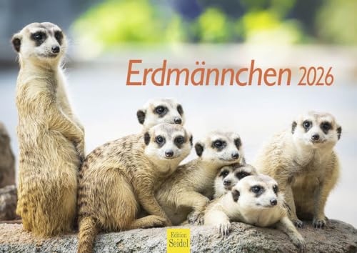 Edition Seidel Premium Kalender Erdmännchen 2026 Format DIN A4 Wandkalender Tierkalender Afrika Zoo Natur Rudel Säugetier Wildtier Tier Edition Seidel Premium Kalender Erdmännchen 2026 Format DIN A4 Wandkalender Tierkalender Afrika Zoo Natur Rudel Säugetier Wildtier Tier von Edition Seidel