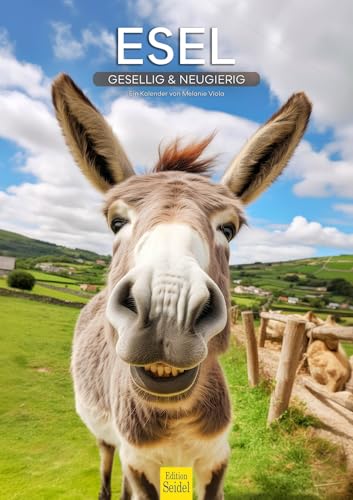 Edition Seidel Premium Kalender Esel gesellig & neugierig 2026 Format DIN A3 Wandkalender Eselkalender Hausesel Stute Hengst Fohlen Säugetier Natur Landschaft Melanie Viola Edition Seidel Premium Kalender Esel gesellig & neugierig 2026 Format DIN A3 Wandkalender Eselkalender Hausesel Stute Hengst Fohlen Säugetier Natur Landschaft Melanie Viola von Edition Seidel