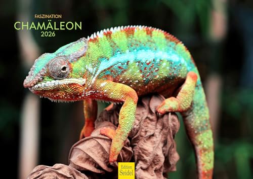 Edition Seidel Premium Kalender Faszination Chamäleon 2026 Format DIN A3 Wandkalender Tierkalender Reptilie Schuppenkriechtier Wildtier Edition Seidel Premium Kalender Faszination Chamäleon 2026 Format DIN A3 Wandkalender Tierkalender Reptilie Schuppenkriechtier Wildtier von Edition Seidel