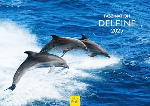 Edition Seidel Premium Kalender Faszination Delfine 2025 Format DIN A3 Wandkalender Tierkalender Delfin Wale Säugetiere Meer Ozean von Edition Seidel